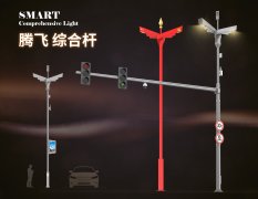 騰飛-共杆 騰飛-共杆